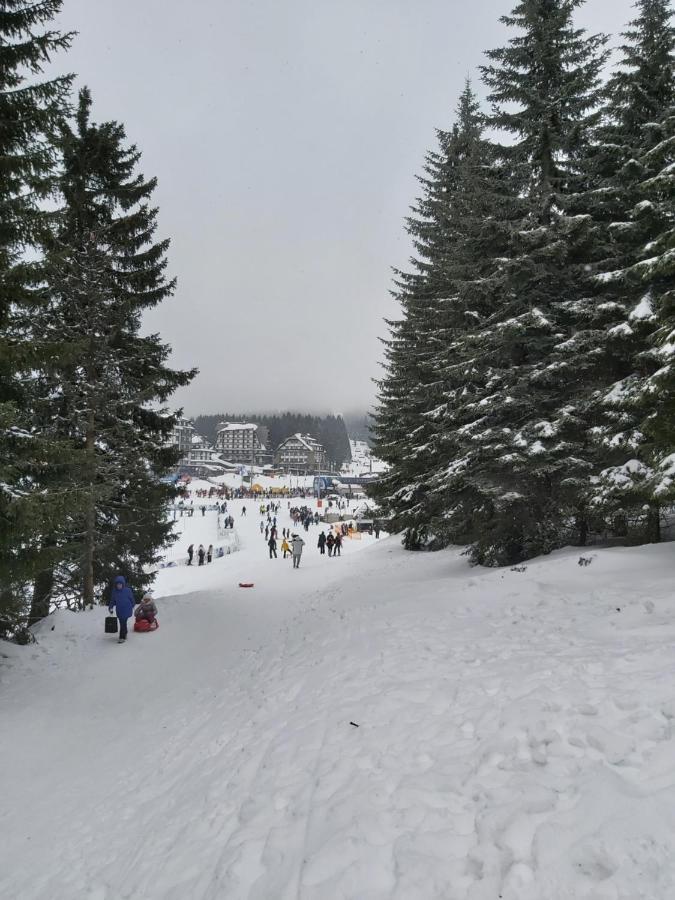 Kop P95 Milmari Apartman Kopaonik